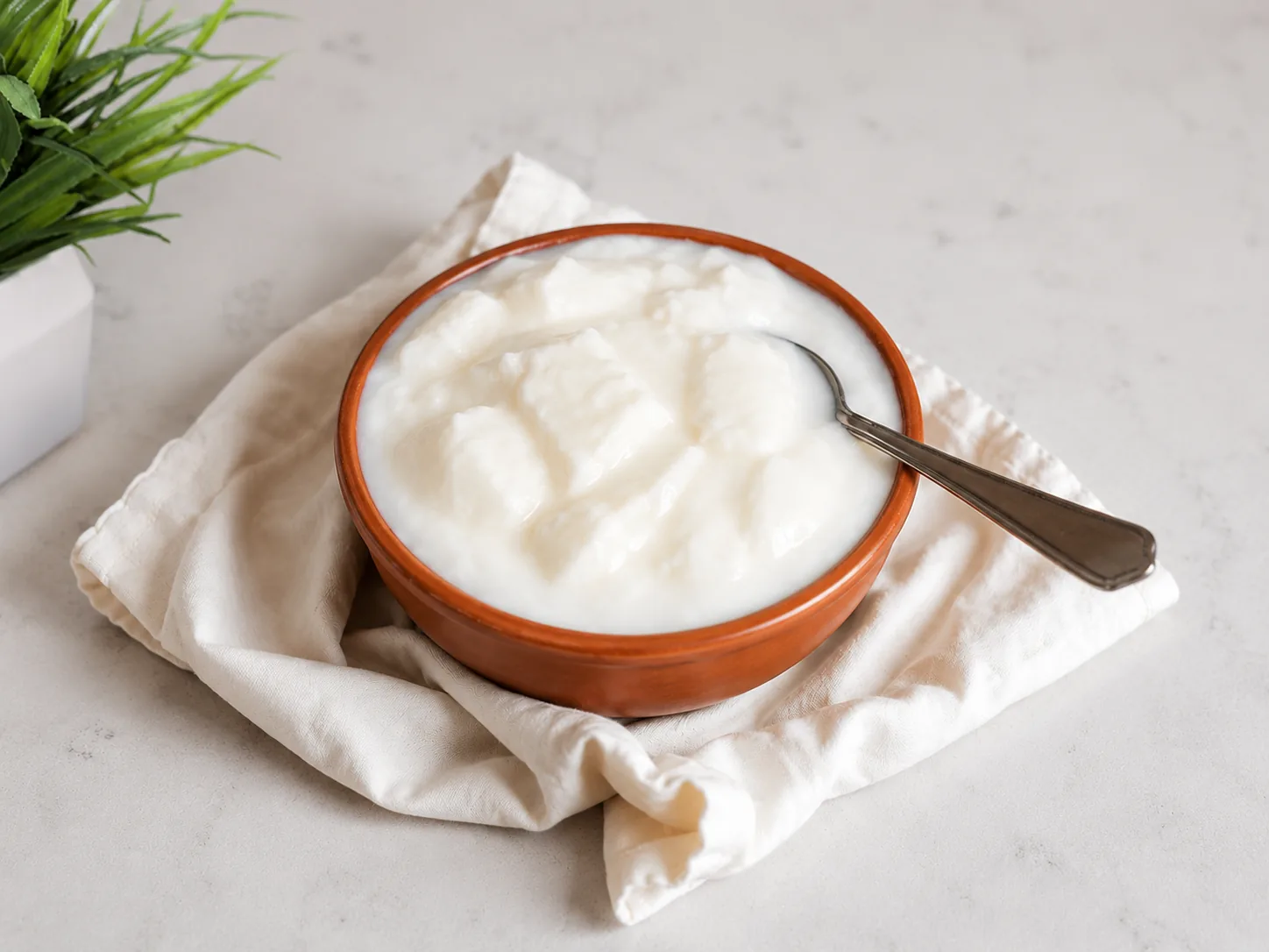 Thick curd and dahi for hotels and restaurants
